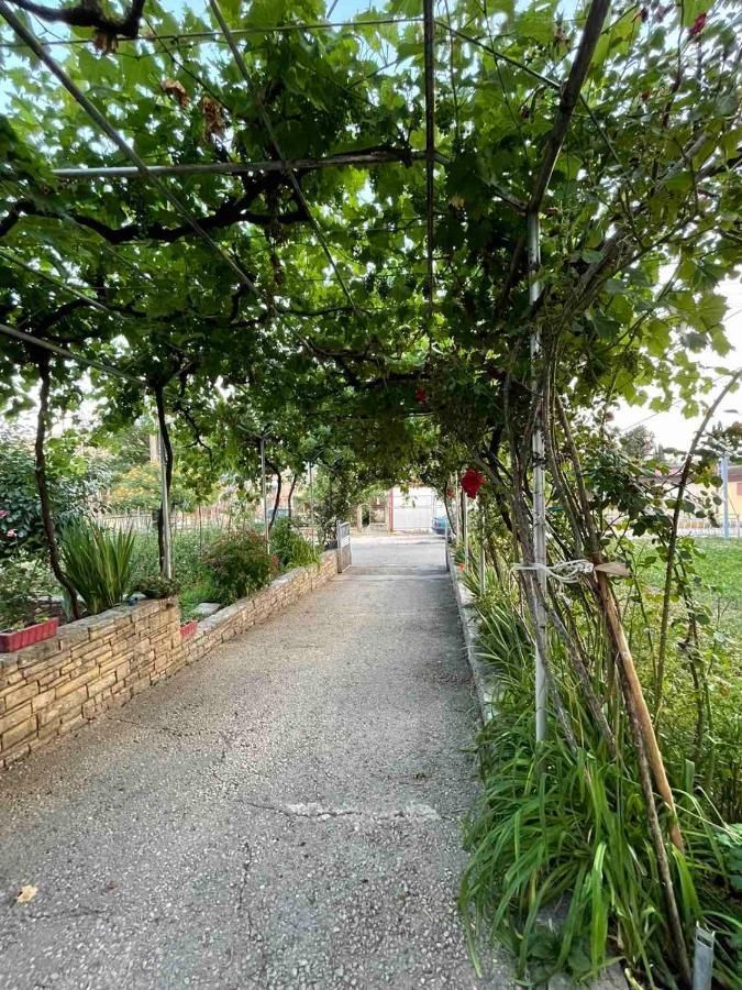 Apartmani Miro Trebin Dış mekan fotoğraf