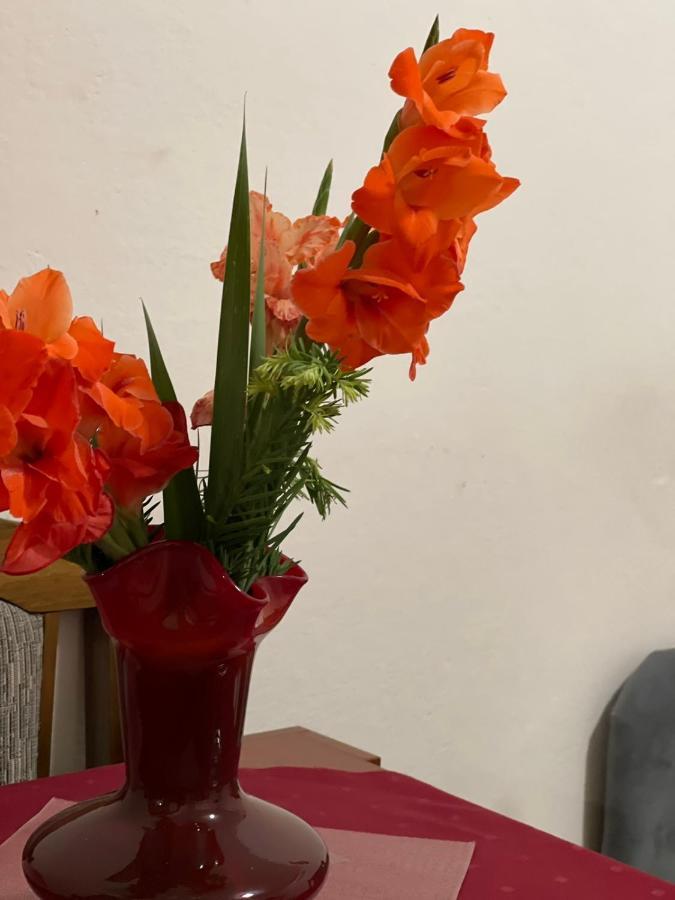Apartmani Miro Trebin Dış mekan fotoğraf